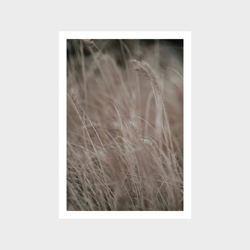 Grass Taupe 1 Art Print