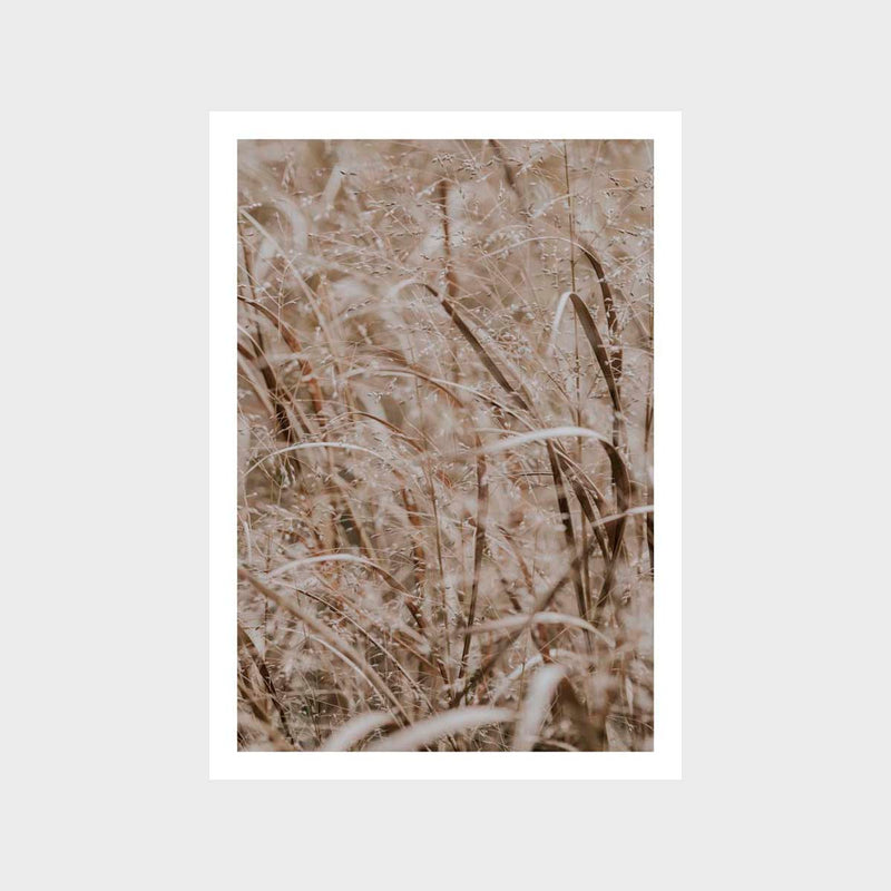 Grass Taupe 2 Art Print