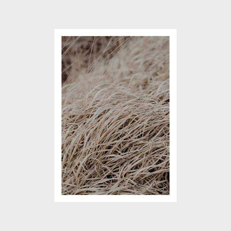 Grass Taupe 4 Art Print