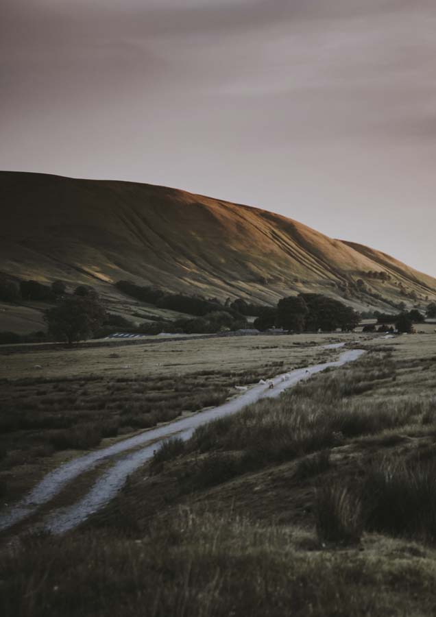 Landscape Country Canvas Wall Art