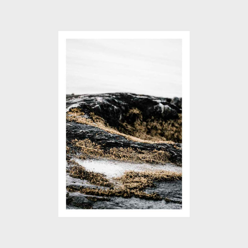 Landscape Moss Rock Art Print