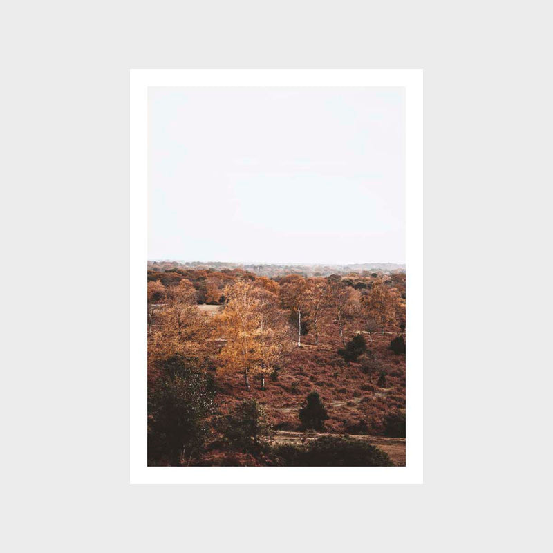 Landscape Rust Tones 1 Art Print