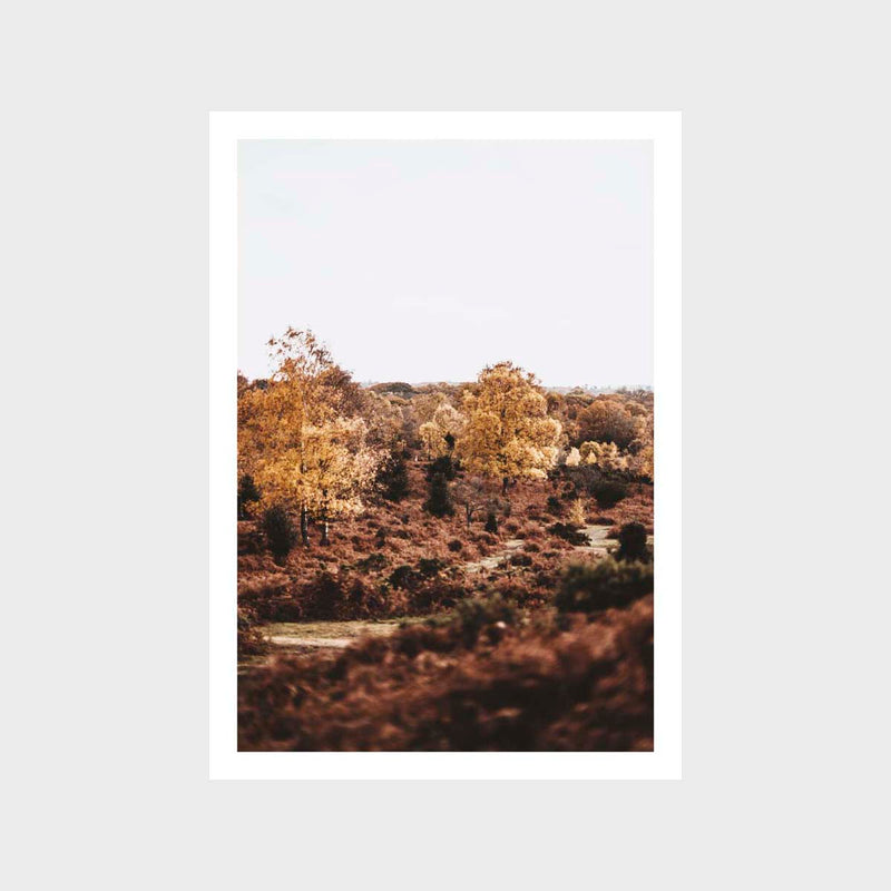 Landscape Rust Tones 2 Art Print