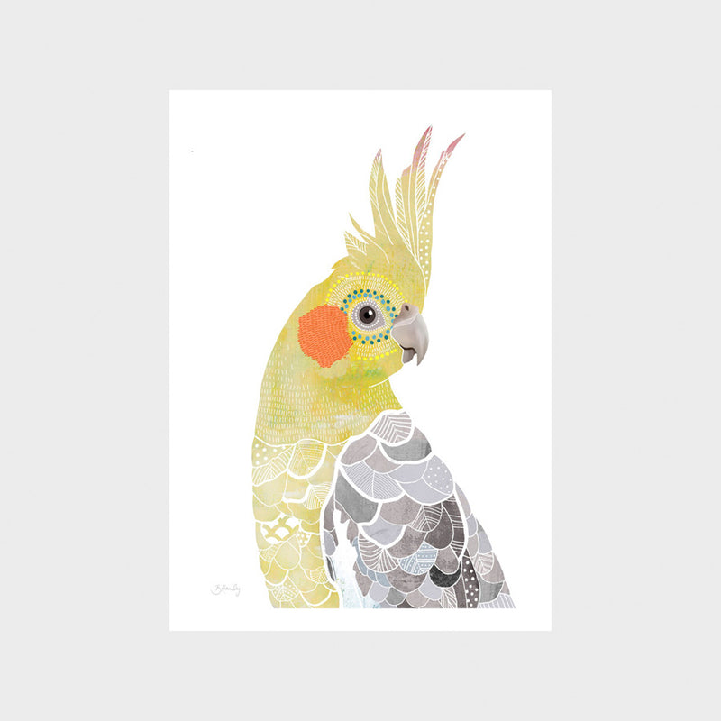 Cockatiel Art Print