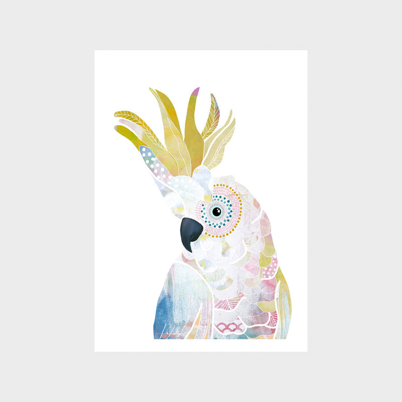 Sulfur Crested Cockatoo Art Print