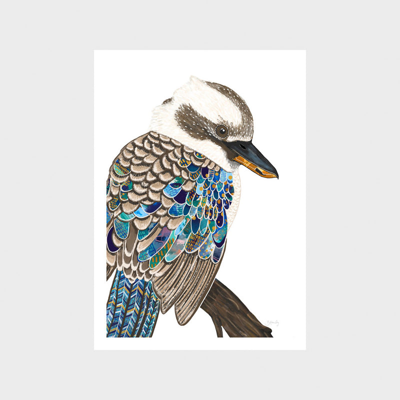 Kookaburra 1 Print