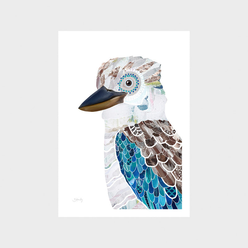 Kookaburra 2 Print