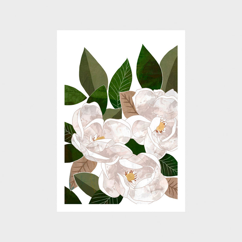 Magnolia 1 Print