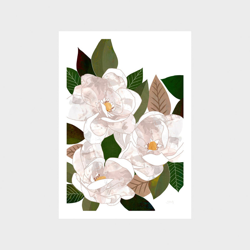 Magnolia 3 Print