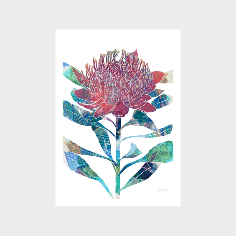 Waratah Print