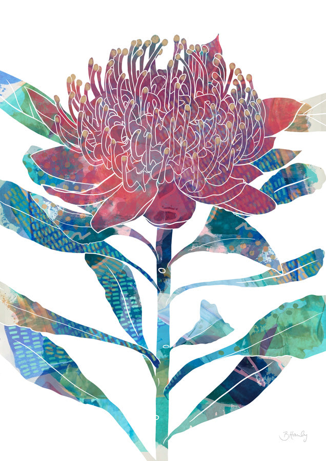 Waratah Canvas Wall Art