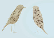 Birds 2