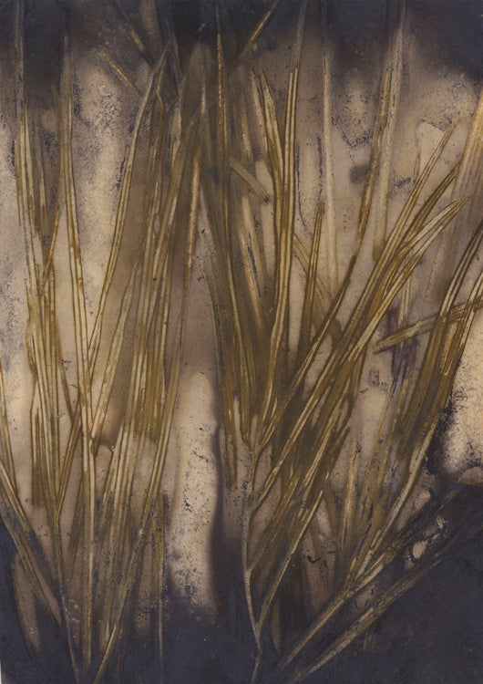Botanic Imprint 24