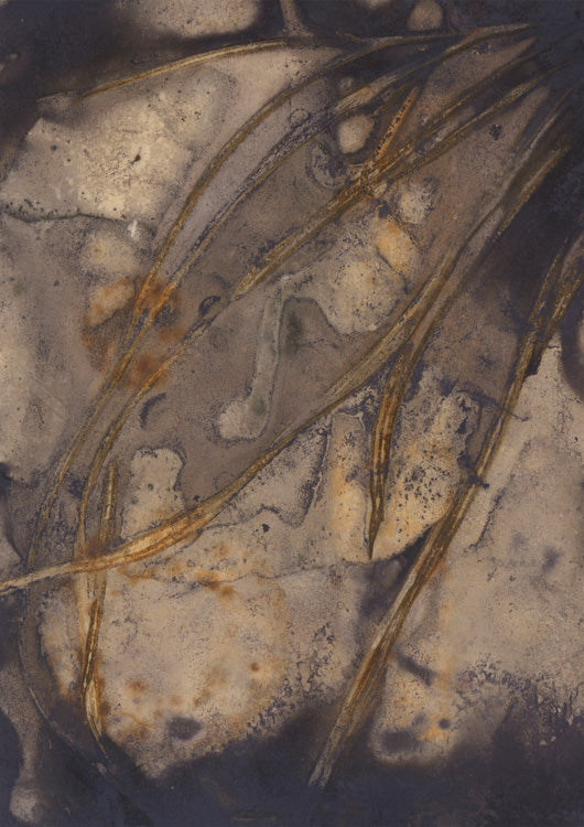 Botanic Imprint 26