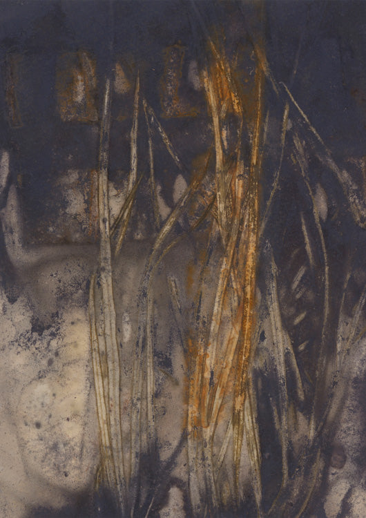 Botanic Imprint 28
