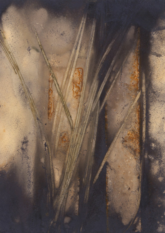 Botanic Imprint 30