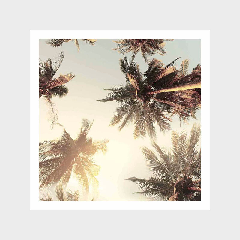 Palm Glow 1 Art Print