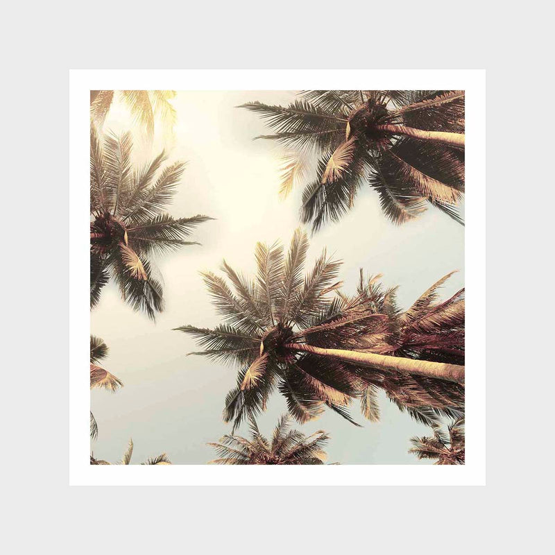 Palm Glow 2 Art Print