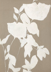 Fortuna White