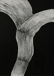 Raw Shape 2