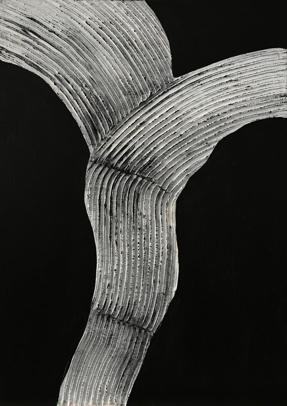 Raw Shape 2