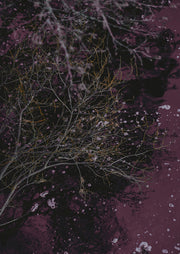 River Of Wine