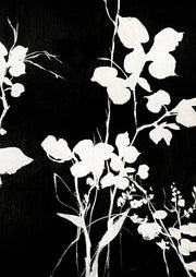 Silhouette Leaves 1