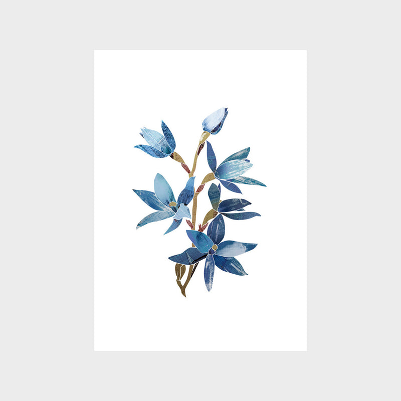 Abstract Blue Lady Orchid Art Print