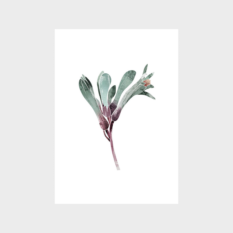 Abstract Kangaroo Paw Art Print