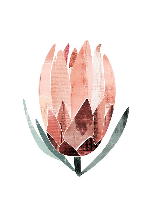 Abstract Protea Canvas Wall Art