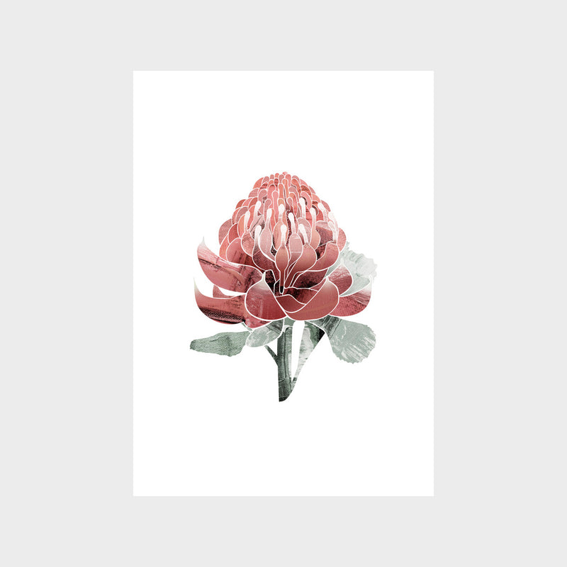 Abstract Waratah Art Print