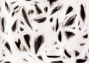 Hidden Heart Abstract