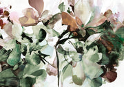 Pistachio Hydrangea