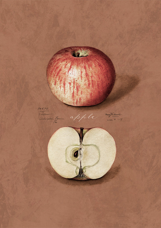 Vintage Apple Canvas Wall Art