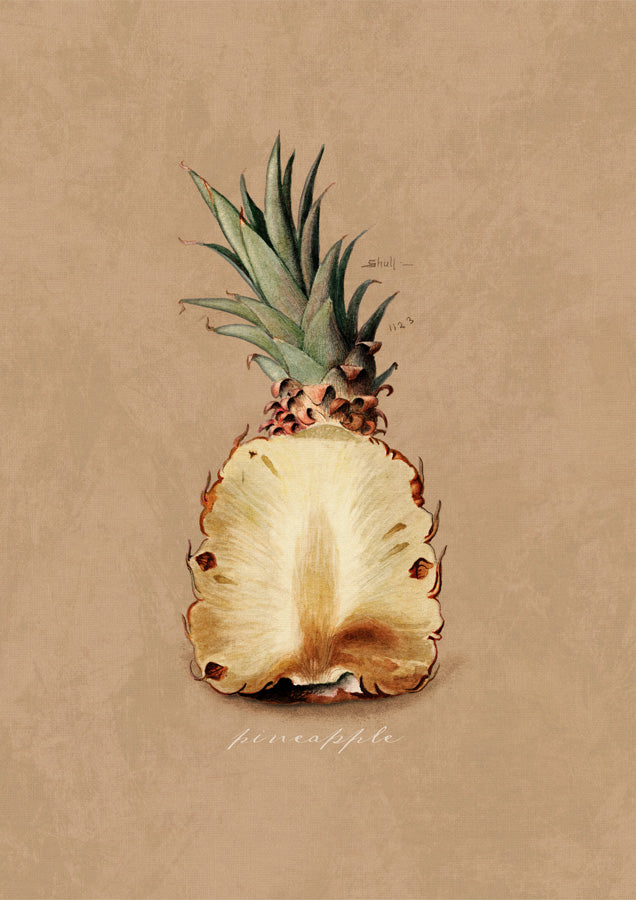 Vintage Pineapple Canvas Wall Art