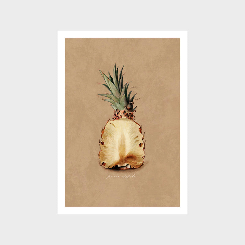 Vintage Pineapple Art Print