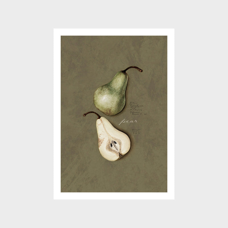 Vintage Pear Art Print