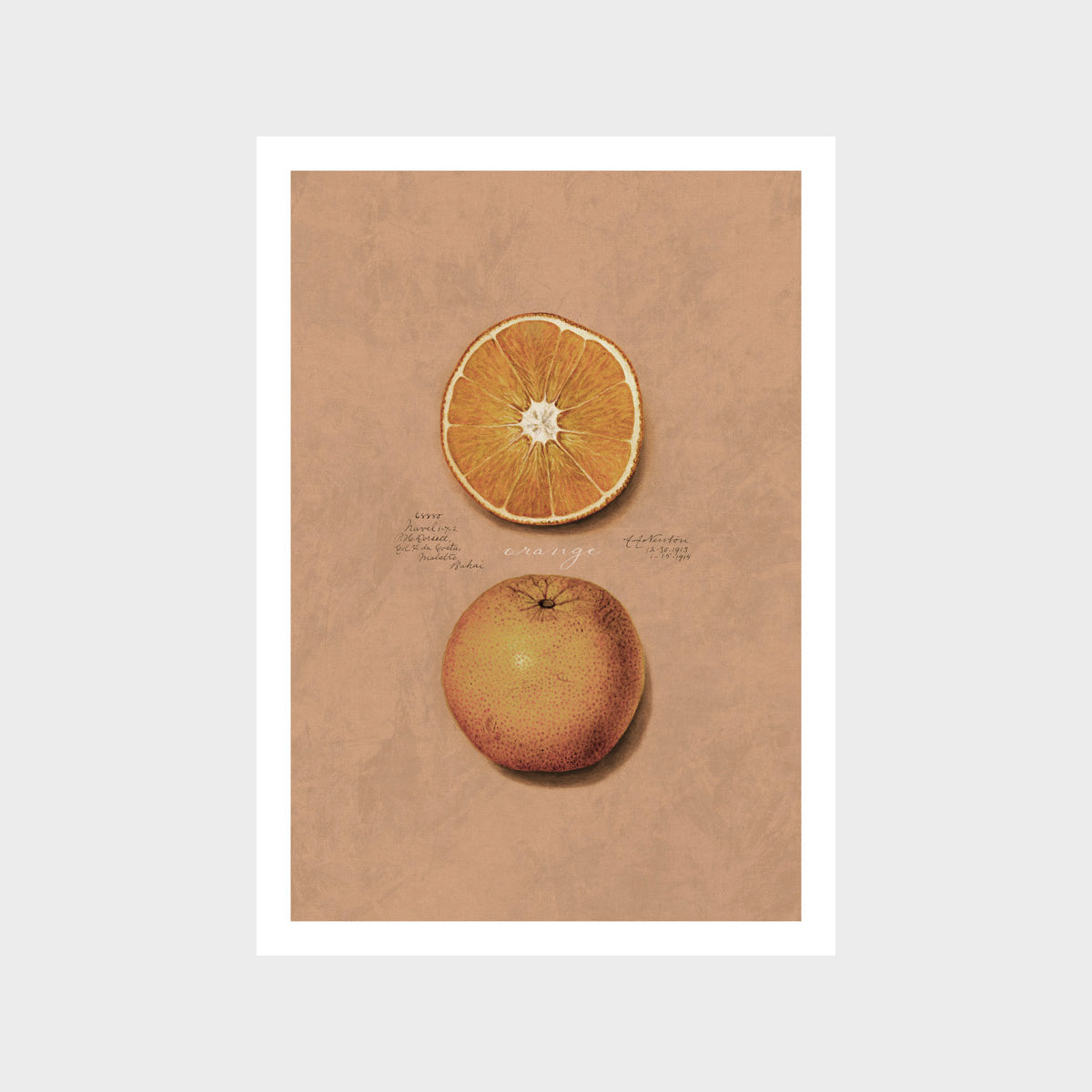 Vintage Orange Art Print