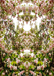 Spring Kaleidoscope 1