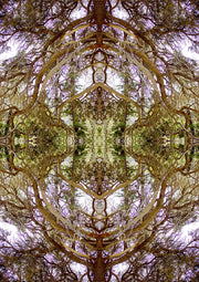 Spring Kaleidoscope 2