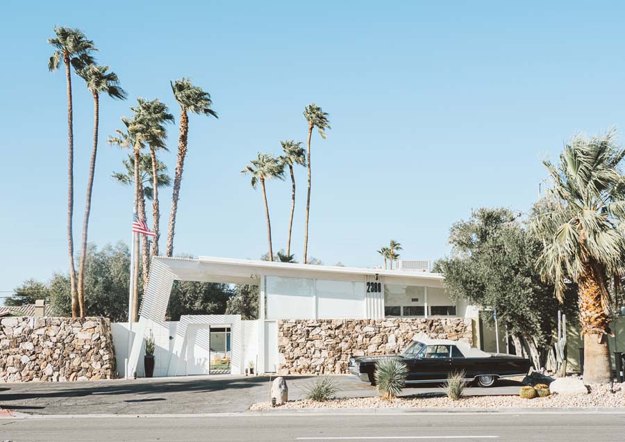 Palm Springs Vibe 1 Canvas Wall Art