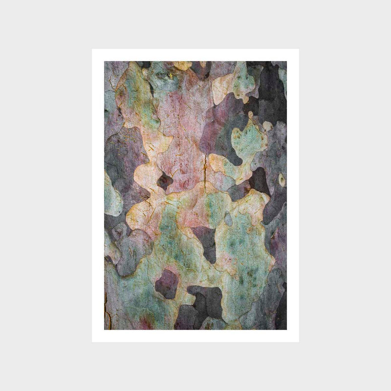 Gum Bark 1 Art Print