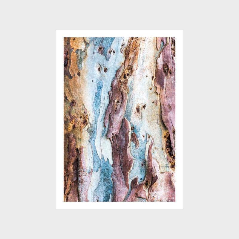 Gum Bark 2 Art Print