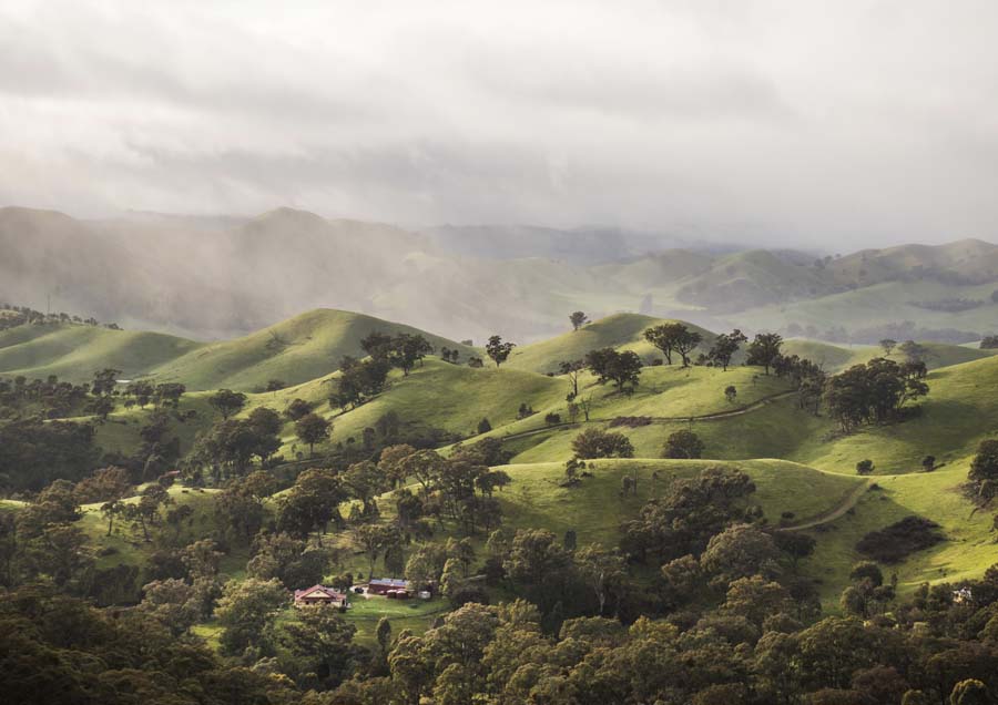 Hills 1 Canvas Wall Art