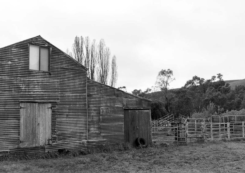 Shed 3 Canvas Wall Art