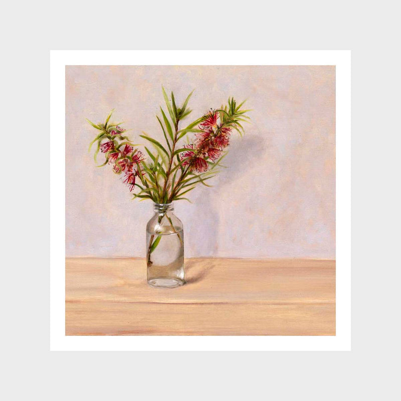 Bottlebrush in Vase Art Print