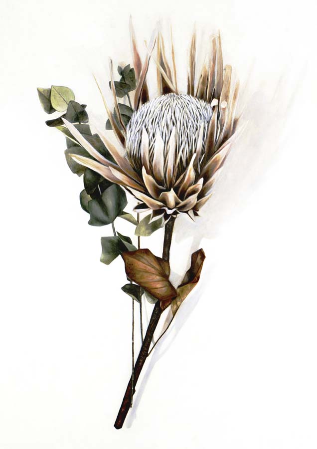 Protea 2 Canvas Wall Art