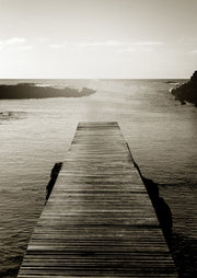 Towards The Water Sepia