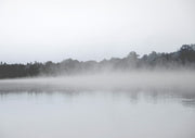 Lake Mist
