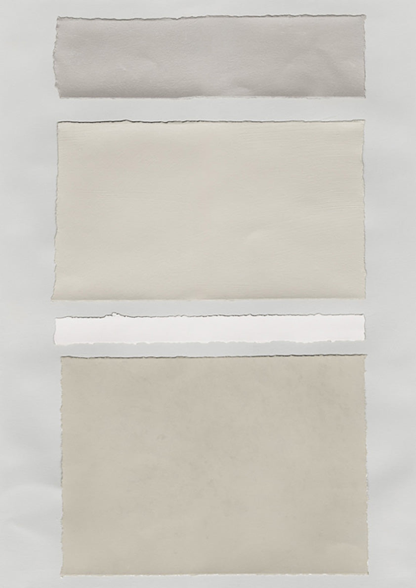 Neutral Colorblock 2